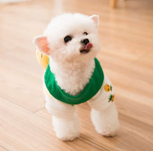 Load image into Gallery viewer, Chihuahua Pineapple Sweater