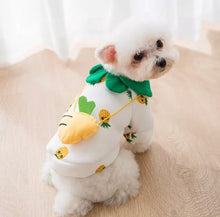 Load image into Gallery viewer, Chihuahua Pineapple Sweater