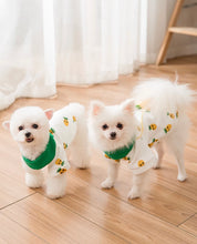 Load image into Gallery viewer, Chihuahua Pineapple Sweater

